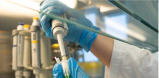 Možemo li biti par? – molekularna detekcija gena za spolno razmnožavanje