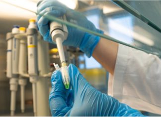 Možemo li biti par? – molekularna detekcija gena za spolno razmnožavanje