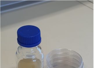 Mikrobiolog-i-ja: mikrodetektivi