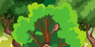 Misterij slavonske šume – Tko je jajokradica?