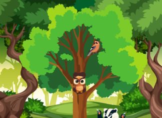 Misterij slavonske šume – Tko je jajokradica?