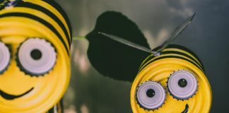 Mali kreativci, veliki čuvari okoliša