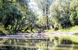 Zaklada ADRIS podržala projekt „Bogatstvo voda Kopačkog rita: priča o mikrosvijetu”