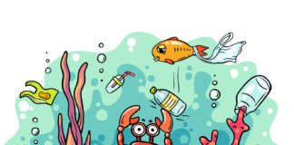 Ekodetektivi u akciji: izbaci uljeza, očisti stanište!