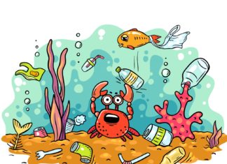 Ekodetektivi u akciji: izbaci uljeza, očisti stanište!