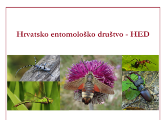 Aktivirana službena facebook stranica HRVATSKOG ENTOMOLOŠKOG DRUŠTVA – HED (ožujak 2025.)