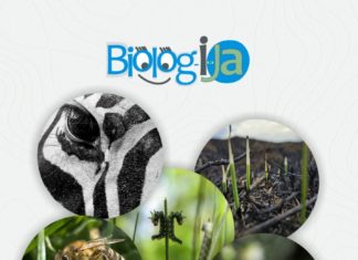 Odluka o izboru najbolje studentske fotografije u okviru projekta “Biolog-i-Ja” u 2025. godini