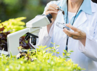 GLAVNI/A INŽENJER/KA ZA BIOLOŠKO TEHNIČKU ZAŠTITU PRUGA – PRIPRAVNIK/CA