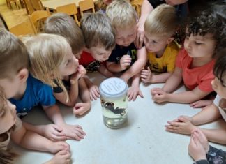 Tajne paukove mreže – Festival znanosti 2025 (05.-10.05.2025.)