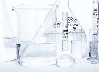 MORSKI BIOLOG / MORSKA BIOLOGINJA