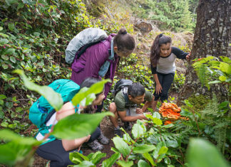 UČITELJ/UČITELJICA BIOLOGIJE I PRIRODE