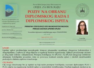 Obavijest o obrani diplomskog ispita studentice Ivone Hlaj