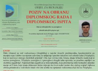 Obavijest o obrani diplomskog ispita studenta Krešimira Romolića