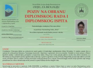 Obavijest o obrani diplomskog ispita studentice Teodore Šimić