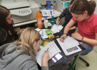 Radionica „PetriArt – kada kultura postane umjetničko djelo“ (13.05.2025.)