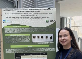 Prezentiran studentski projekt: “Ekstrakt hrastove šiške kao prirodna zaštita genetskog materijala – od šumske patologije do bioaktivnog pripravka”