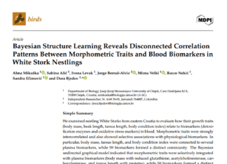 Objavljen znanstveni rad u prestižnom časopisu Birds (Q1)