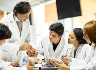 UČITELJ/ICA PRIRODE I BIOLOGIJE