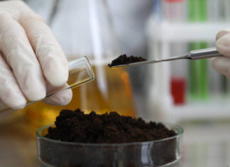 RADNO MJESTO I. VRSTE – ASISTENT/ICA