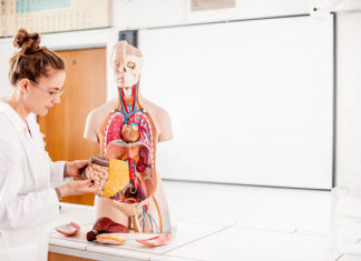 UČITELJ/UČITELJICA BIOLOGIJE I KEMIJE