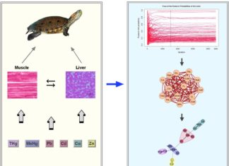 Međunarodna suradnja potvrđena vrhunskom objavom u Journal of Hazardous Materials
