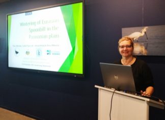 Doc. dr. sc. Alma Mikuška sudjelovala na međunarodnoj konferenciji ESIEG 2025 u Nizozemskoj (22.09.-26.09.2025.)