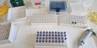 Student Tomislav Horvat on professional practice at Palacký University in Olomouc, Czech Republic