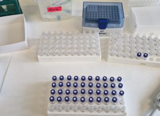 Student Tomislav Horvat on professional practice at Palacký University in Olomouc, Czech Republic