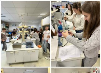 Učenici iz Mađarske sudjelovali u radionici „Protein analysis: The Bradford Method“ na Odjelu za biologiju! (15.10.2025.)