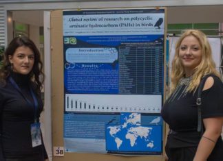 Od studentskih projekata do međunarodnog simpozija – uspjeh studentice Sabine Alić!