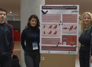 Studenti Sabina Alić i Rocco Nekić osvojili prvo mjesto za najbolji poster na 14. međunarodnom simpoziju Kopački rit – Jučer, Danas, Sutra 2025.