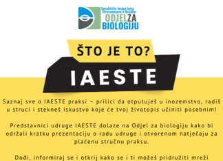 🌍 Želiš steći međunarodno iskustvo? 🌿