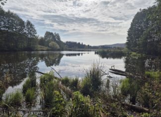 Boravak Dr Predraga Simovića s Prirodno-matematičkog fakulteta Univerziteta u Kragujevcu, u sklopu suradnje na studentskom projektu (18.10. – 24.10.2025.)