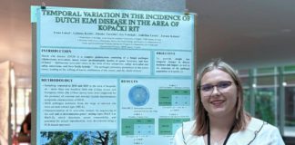 Uspješno proveden studentski projekt o širenju holandske bolesti brijesta na području Kopačkog rita