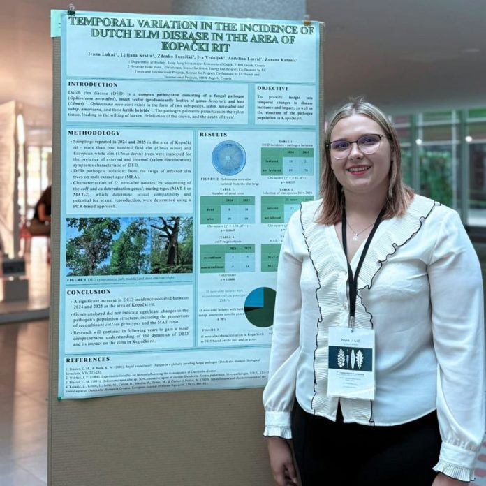 web10.03.36_2e0785a2