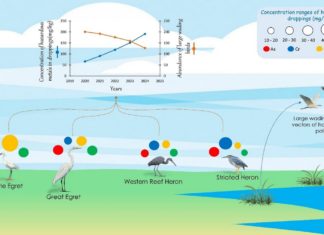 Objavljen znanstveni rad o neinvazivnom biomonitoringu teških metala u pticama – rezultat međunarodne suradnje