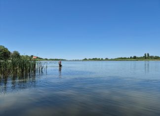 Uspješno realiziran studentski projekt “Invazija iz sjene: kako je Limnomysis benedeni stigao u Kopački rit?”