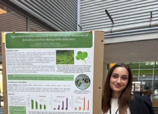 Studentski projekt: Može li barska leća živjeti u stresu? – Ekološki izazovi u vodi