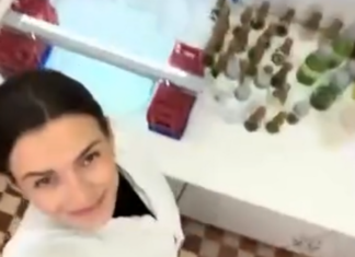 Međunarodno iskustvo studentice u laboratoriju u Budimpešti! (24.-28.11.2025.)