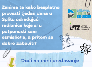 Ljetna tvornica znanosti 2025. traži nove mentore!