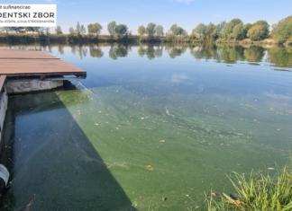 Uspješno završen studentski projekt istraživanja cijanobakterija na gradskom kupalištu Bajer Jug II