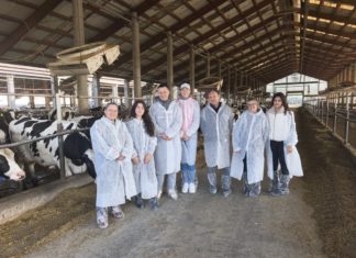 Terenska nastava studenata Odjela za biologiju – Belje Mitrovac 2025.