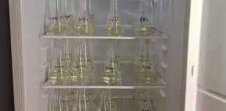 Farmaceutici u vodama istočne Slavonije: rezultati studentskog istraživanja