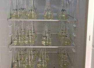 Farmaceutici u vodama istočne Slavonije: rezultati studentskog istraživanja