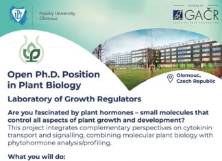 📢 Otvorene PhD pozicije!