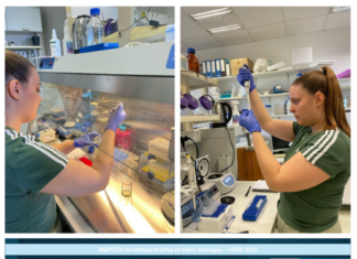 Uspješna realizacija studentskog projekta „Prijenosnici šećera kao posrednici komunikacije između biljke i patogena“