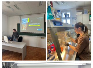 Uspješna realizacija studentskog projekta “In silico i eksperimentalna validacija QPCR-početnica za gene pšenice uključene u odgovor na abiotičke stresne čimbenike”