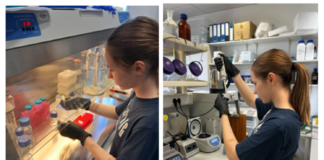 Uspješno proveden projekt Provjera specifičnosti QPCR oligonukleotidnih početnica za odabrane gene soje