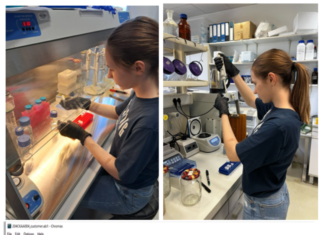 Uspješno proveden projekt Provjera specifičnosti QPCR oligonukleotidnih početnica za odabrane gene soje