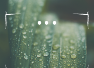 🎯 Želiš biti spreman za tržište rada? – najava radionice za studente